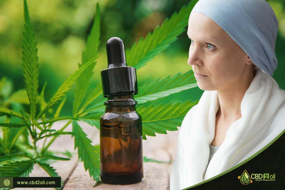 Chemotherapy and CBD - Combining Chemotherapy and CBD - Reversing Chemotherapy side effects - reversing chemotherapy side effects with CBD