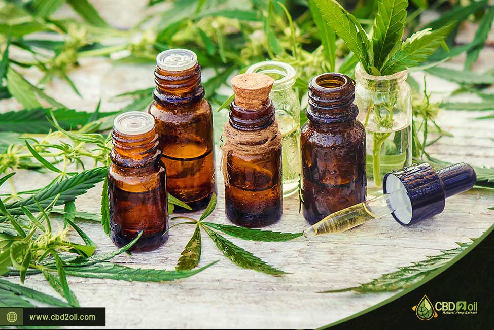 Facts about CBD-cbd-cbd2-cbd2oil-cbd2products-cbdoil-cbdcalifornia-cbdstore-cbdshop-cbdflorida-buycbdoil-buycbd-cbdbusiness2019-bestcbd2oil-bestcbdproductscbd-cbd store-cbdshope